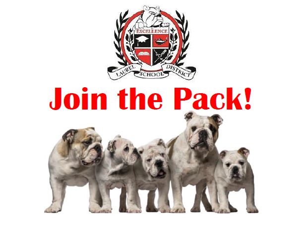  Join The Pack! - We Are Hiring!
