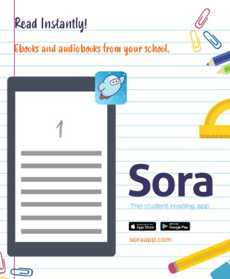  Picture for Sora, the digital library. 